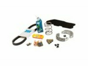 Reparatur-/Wartungskit Peugeot Ludix