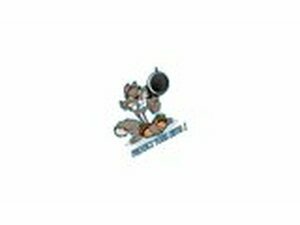 Aufkleber Lethal Threat Protect Your Nuts 7x11cm