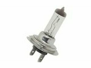 Halogen Birne H7 - PX26D 12V - 55W