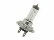 Halogen Birne H7 - PX26D 12V - 55W