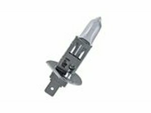 Halogen Birne (H1) 12V - 55W