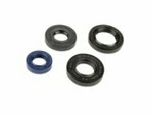 Set Wellendichtringe PGO Big Max 50cc