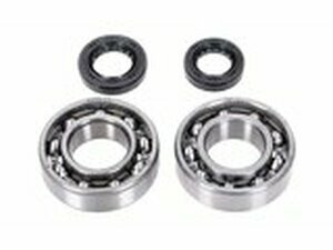 Kurbelwellenlager und Wellendichtringe Yamaha Aerox 4-Takt