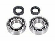 Kurbelwellenlager und Wellendichtringe Yamaha Aerox 4-Takt