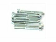 Schraube Innensechskant M5x50 verzinkt (x12)