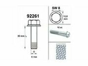 Motorschraube SW 8 M6x 30 silber (x10)