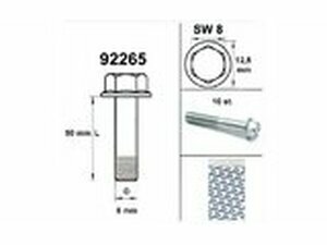 Motorschraube SW 8 M6x 50 silber (x10)