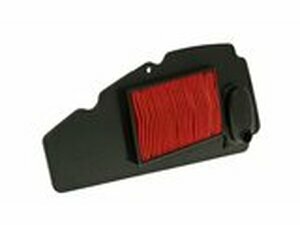 Luftfilter Einsatz fr Honda NSS 250 Forza X (05-07)