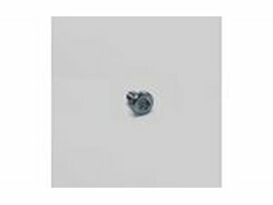 Schraube Bremsscheibe M8 x 14mm Pit Bike / Dirt Bike