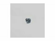 Schraube Bremsscheibe M8 x 14mm Pit Bike / Dirt Bike