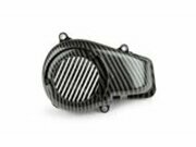 Lfterradabdeckung carbon Minarelli stehend ab 2004