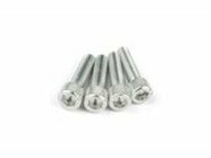 Schraubensatz Einlass M6x25mm Alu Silber (x4)