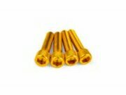 Schraubensatz Einlass M6x25mm Alu Gold (x4)