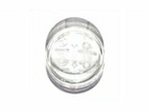 Blinkerglas rechts hinten Sym Allo