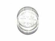 Blinkerglas rechts hinten Sym Allo