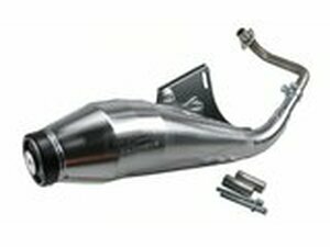 Auspuff Tecnigas GP4 Piaggio Vespa / Zip 50cc 4-Takt 2V