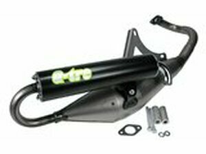 Auspuff Tecnigas Q-TRE Piaggio mit Straenzulassung