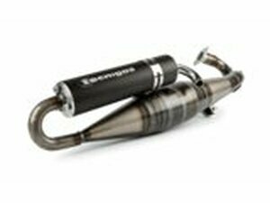 Auspuff Tecnigas RS II Gilera Runner 125cc / 180cc 2T