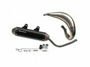 Auspuff Rieju MRT Tecnigas E-NOX Evo Steel