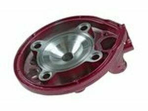 Zylinderkopf Top Performances 70cc Due Plus Grauguss AM6