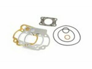 Zylinder Dichtsatz TPR Factory 100ccm AM6