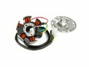 Stator Zndung Top Performances Derbi Euro 2 85W (DUCATI...
