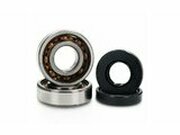 Kurbelwellenlager Voca Polymer Yamaha DT 50 LC Portugal