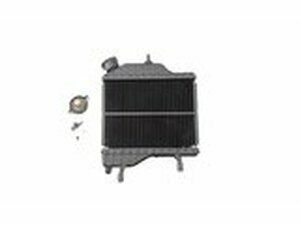 Khler - original Yamaha TZR / X-Power