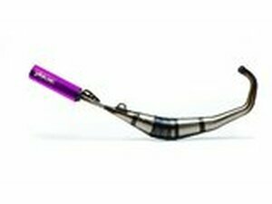 Auspuff Yasuni R1 AM6 Lila