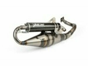 Auspuff Yasuni R-Pro Piaggio Carbon