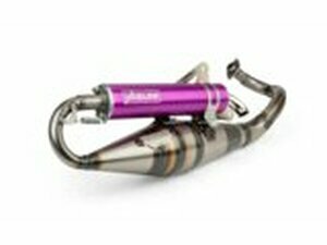 Auspuff Yasuni R-Pro Piaggio Lila