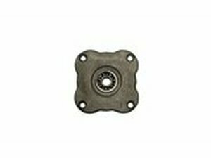 Lagerplatte Kupplung Pit Bike 125cc Leerlaufstart