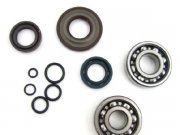 Lagersatz Kurbelwelle incl. Wellendichtringe Viton...