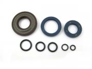 Wellendichtringsatz Simmerringsatz Viton inkl. O-Ringe...