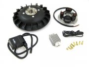 Zndung Pinasco Flytech 0,9kg 19mm Konus fr Vespa V50, PV