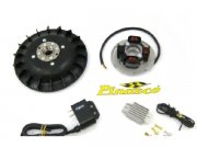 Zndung Pinasco Flytech 1,6kg Konus fr Vespa Rally