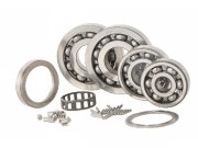 Lagersatz Motor SIP fr Vespa 125 GT 1/150 Sprint 1...