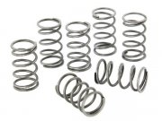 Kupplungsfedern SIP Sport fr Vespa 180 Rally VSD1T...