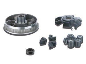 Variator MALOSSI Multivar 2000,  fr PEUGEOT 125 Geopolis i.e. /Jet Force/Satelis (FD6),  4T LC  20x17mm, 6 Rollen, 9,0g