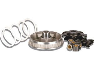Variator MALOSSI Multivar 2000,  fr BENELLI 150 CAFFNero /HONDA 125-150 @/Dylan /Pantheon/PS/SH/SH Scoopy/SH I/S-Wing/KEEWAY 125-150 Outlook,  4T LC  20x17mm, 6 Rollen, 9,5g
