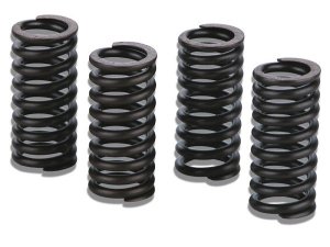 Ventilfedern MALOSSI für MASTER Motor für APRILIA...