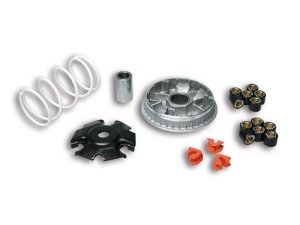 Variator MALOSSI Multivar 2000,  fr Vespa GTS/GTS Super/GTV/GT 60/GT/GT L 200-300ccm, passt auch  fr PIAGGIO Leader/Quasar  200-300ccm, 4T LC  20x17mm, 14,0/15,0g