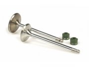 Ventil-Kit MALOSSI  fr YAMAHA 250-300ccm 4T LC,  ohne...