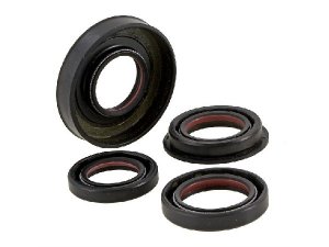 Wellendichtringsatz MALOSSI FKM/PTFE für MINARELLI...