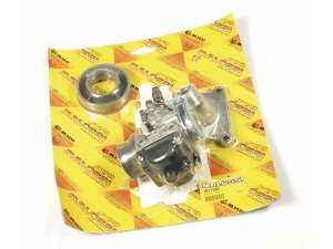 Vergaserkit MALOSSI PHBG 21 CS für MINARELLI AM 3-6 für...