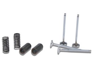 Ventil-Kit MALOSSI fr original Zylinderkopf,  fr Vespa GT/GT L/GTS/GTS Super/GTS Super Sport/GTV /GT60 125-300ccm, passt auch  LEADER/QUASAR 125-300ccm 4T LC /i.e.,  Titanium,  Einlass und Auslassventil mit Ventilfedern