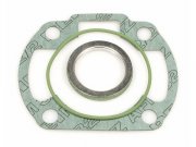 Dichtsatz MALOSSI fr Art.-Nr. M317083/318437/M318403/...