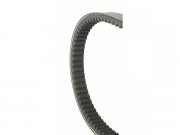 Keilriemen MALOSSI X-K Belt  fr MALAGUTI 250...