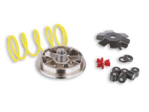 Variator MALOSSI Multivar,  fr CAGIVA 50 Progress,  fr DERBI 50 Atlantis/Aceno /Hunter/Paddock/Predator,  2T, AC/LC  16x13mm, 7g, LC Modelle bis Bj. ->02