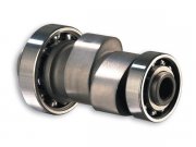 Nockenwelle MALOSSI fr YAMAHA  125-180ccm 4T LC,  auch...